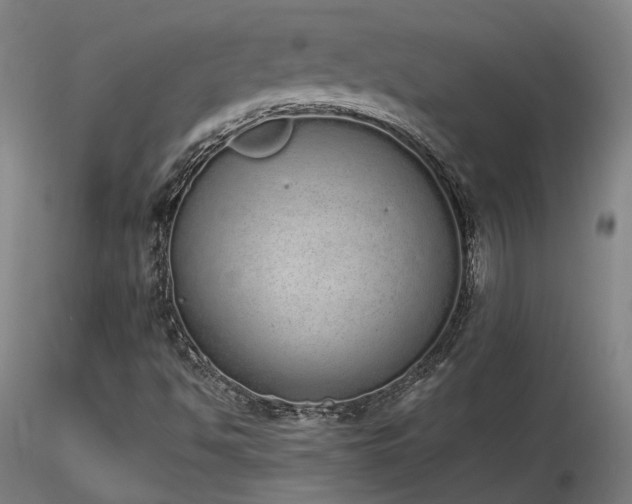 X0000116841494200912181445
