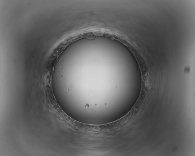 X0000116841495200912181445