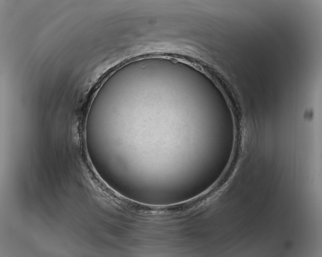 X0000116841497200912181445