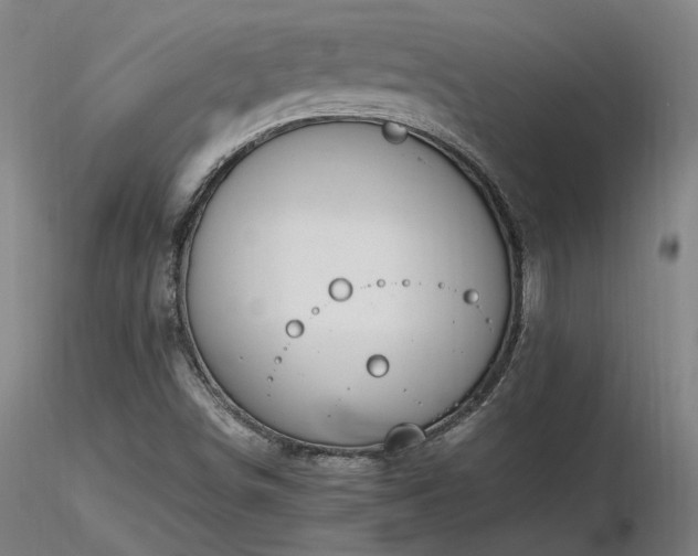 X0000116841498200912181445