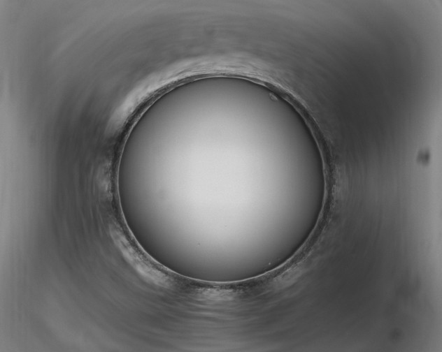 X0000116841499200912181445