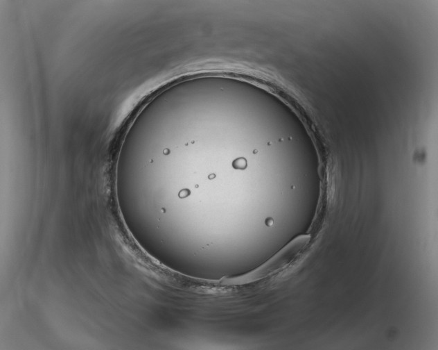 X0000116841501200912181445