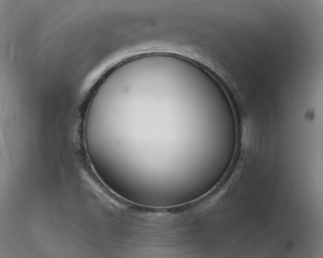 X0000116841502200912181445