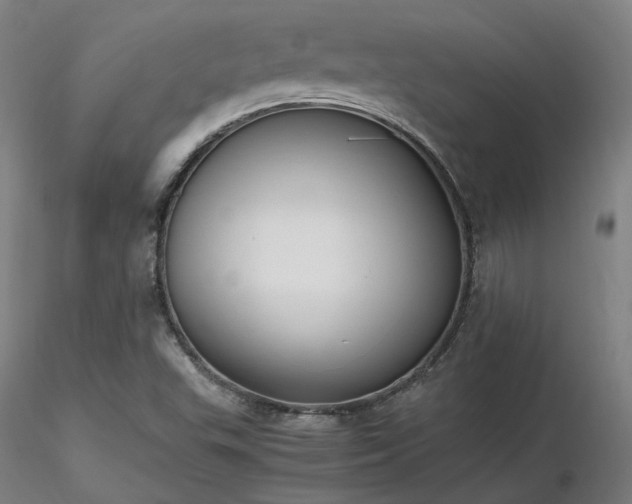 X0000116841503200912181445