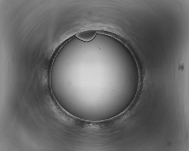 X0000116841505200912181445