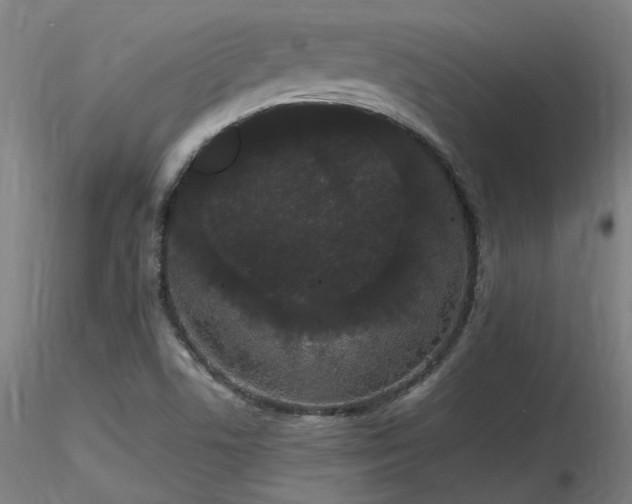 X0000116841506200912181445