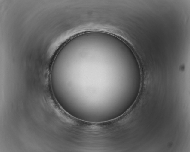 X0000116841507200912181445