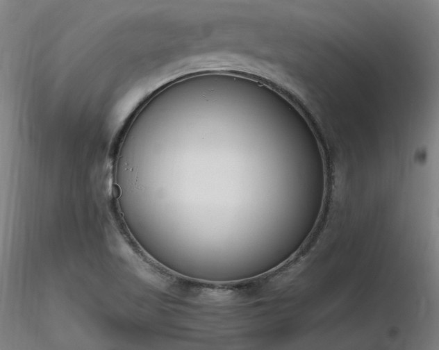 X0000116841509200912181445