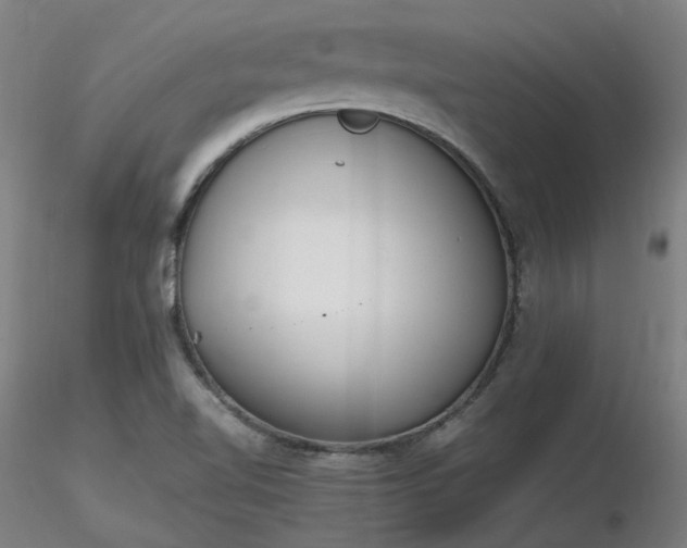 X0000116841510200912181445