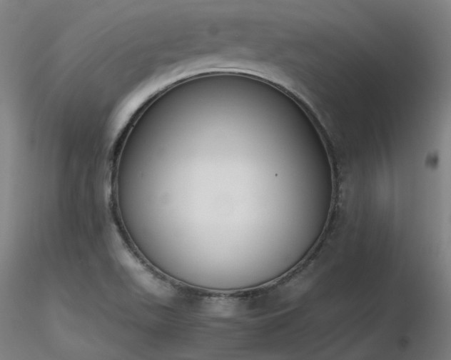 X0000116841511200912181445