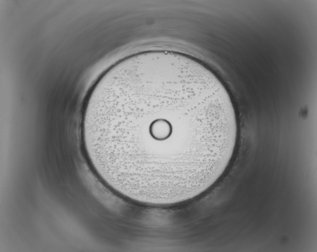 X0000116841514200912181445