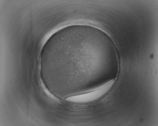 X0000116841515200912181445