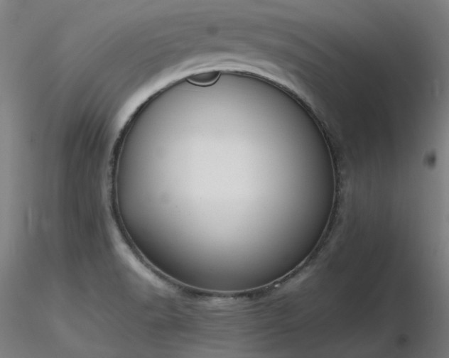 X0000116841518200912181445