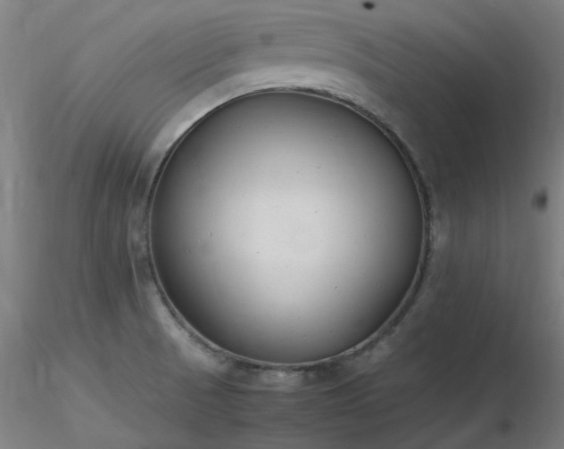 X0000116841521200912181445
