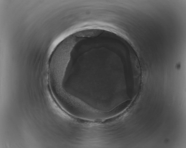 X0000116841522200912181445