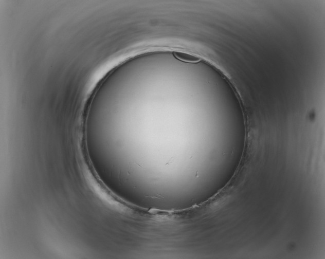 X0000116841523200912181446