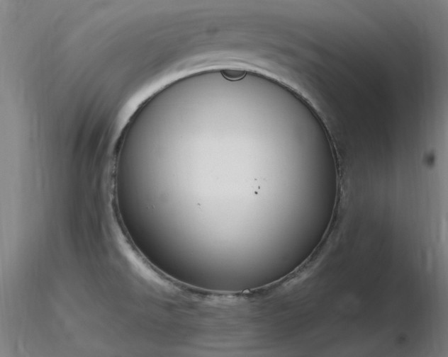 X0000116841526200912181446