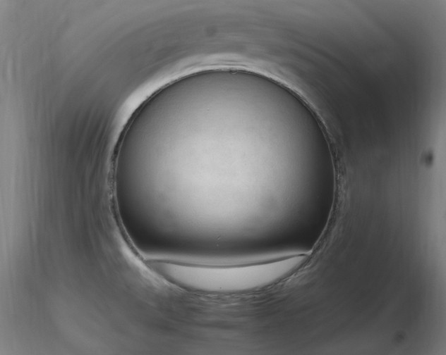 X0000116841527200912181446