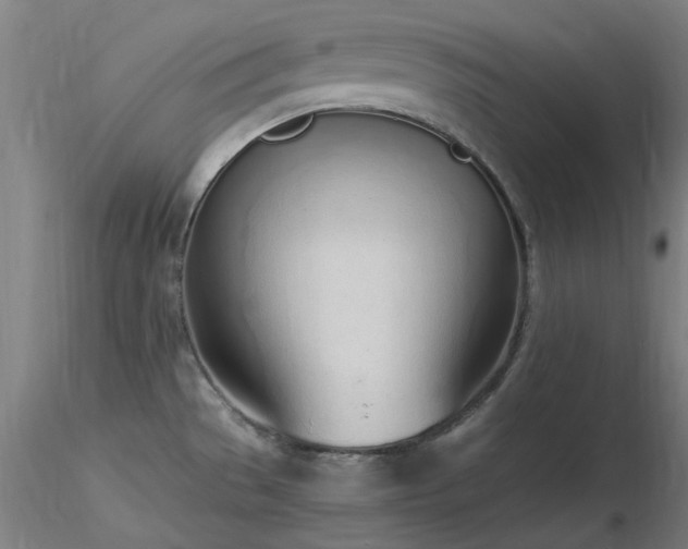 X0000116841529200912181446