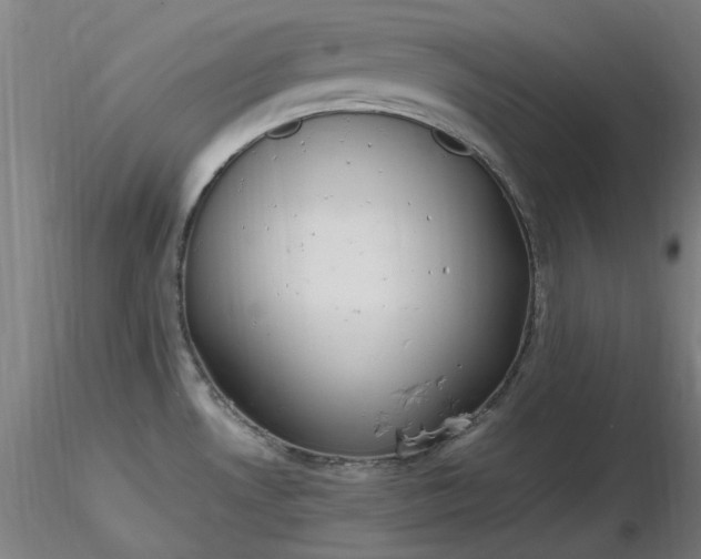X0000116841530200912181446