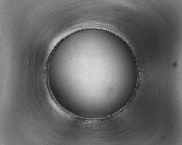 X0000116841531200912181446