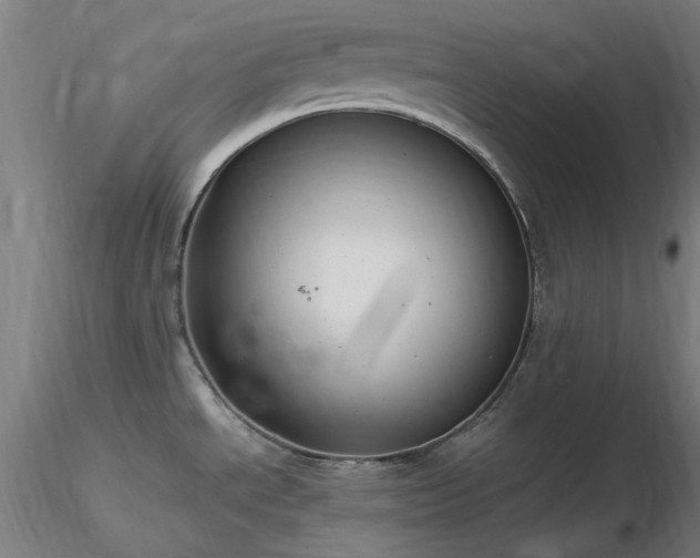 X0000116841534200912181446