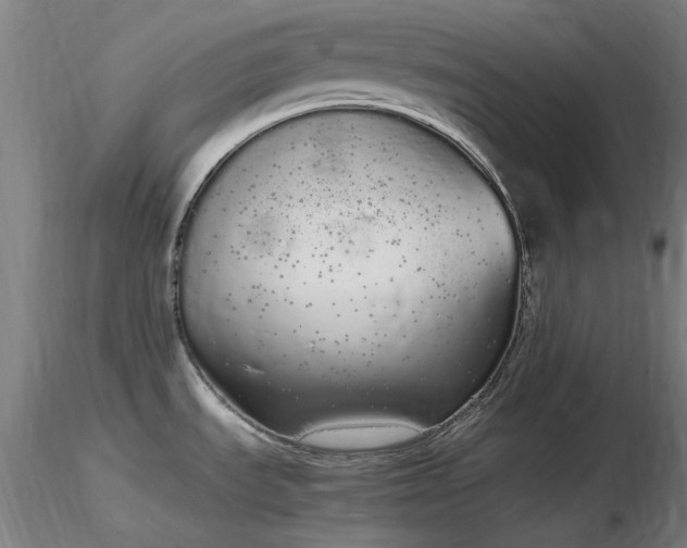 X0000116841535200912181446