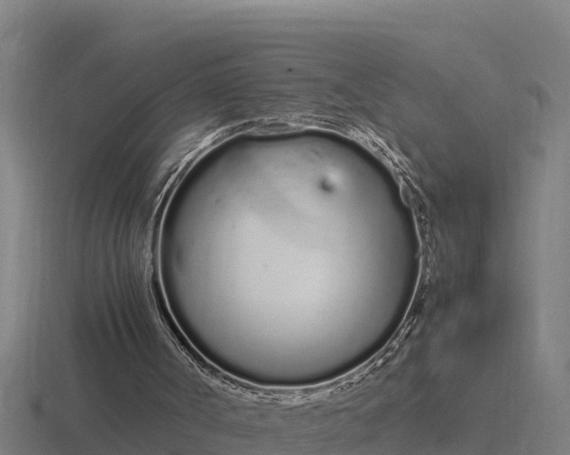 X0000116840002200912241237