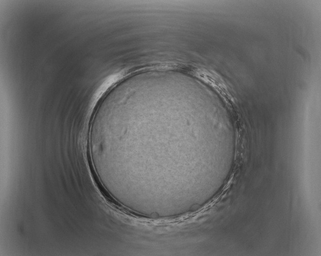 X0000116840003200912241237