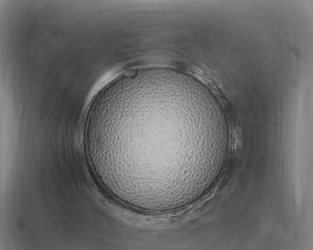 X0000116840004200912241237