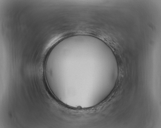 X0000116840005200912241237