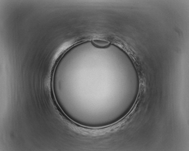 X0000116840006200912241237