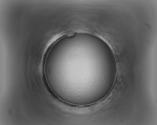 X0000116840008200912241237