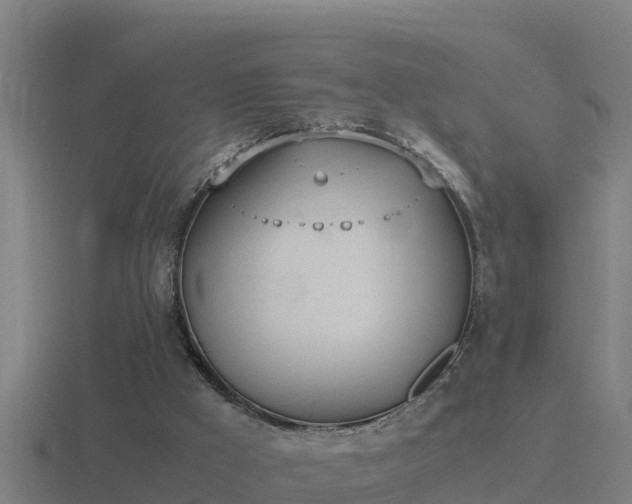 X0000116840009200912241237