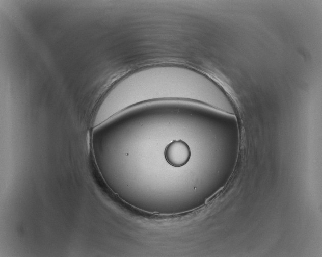 X0000116840013200912241237