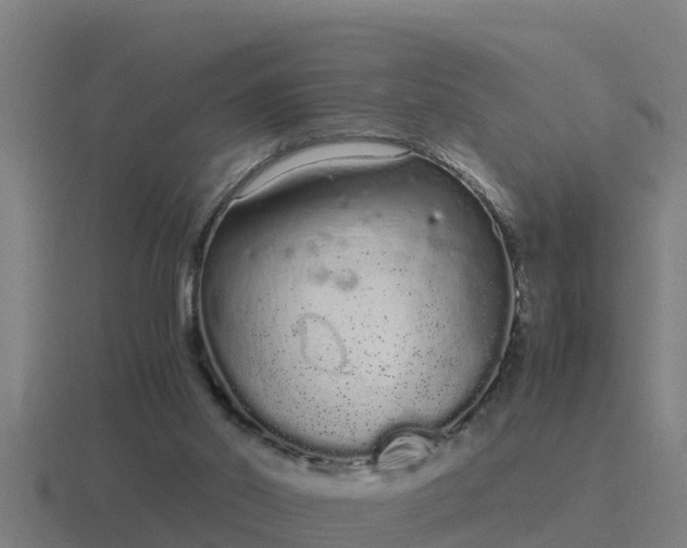 X0000116840014200912241237