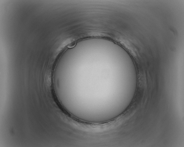 X0000116840015200912241237