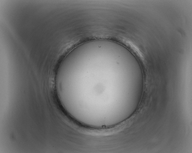 X0000116840017200912241237