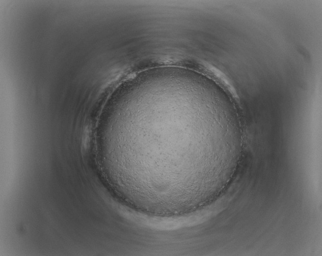 X0000116840018200912241237