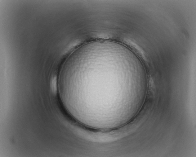 X0000116840020200912241237