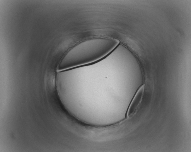 X0000116840021200912241237