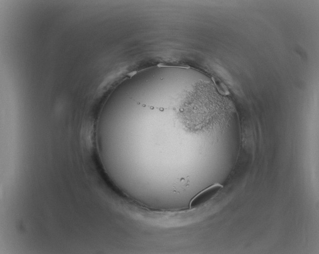 X0000116840023200912241237