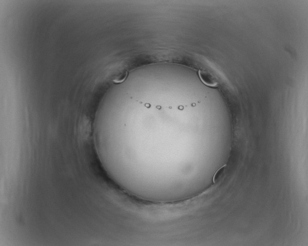 X0000116840025200912241237