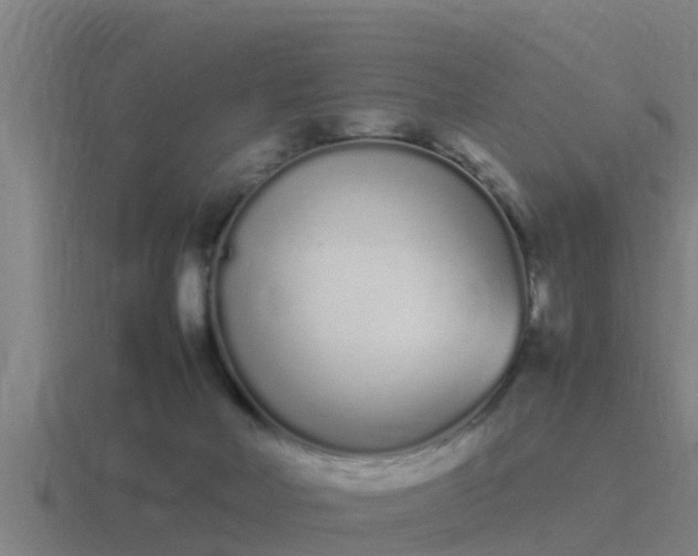 X0000116840026200912241237