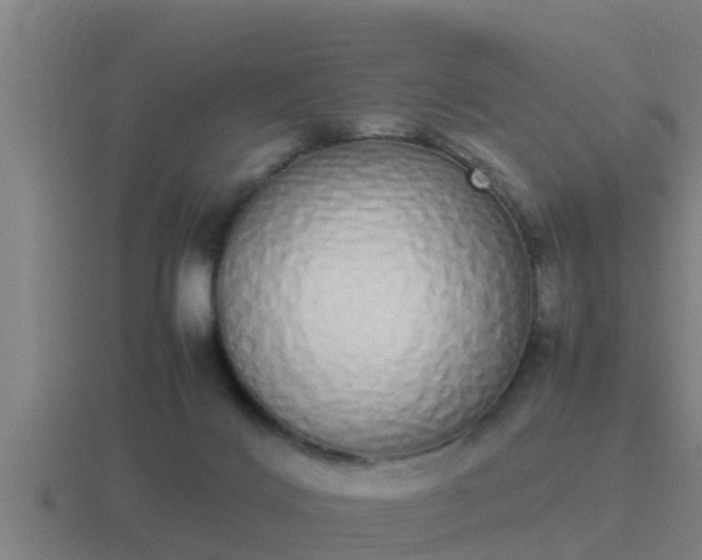 X0000116840028200912241237