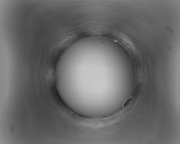 X0000116840029200912241237