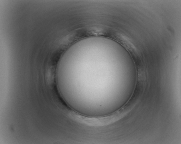 X0000116840030200912241237