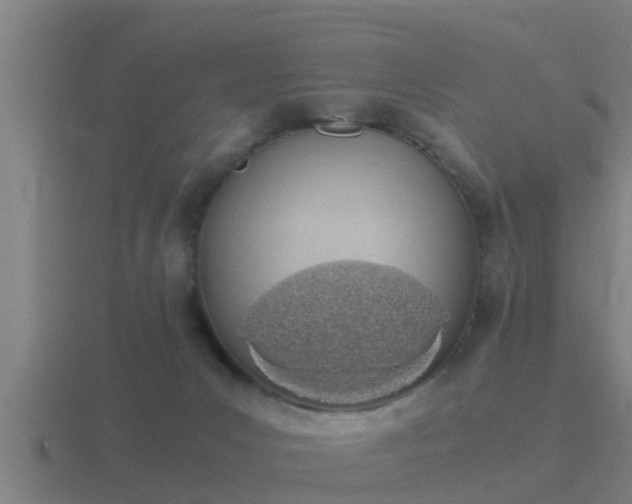 X0000116840031200912241237