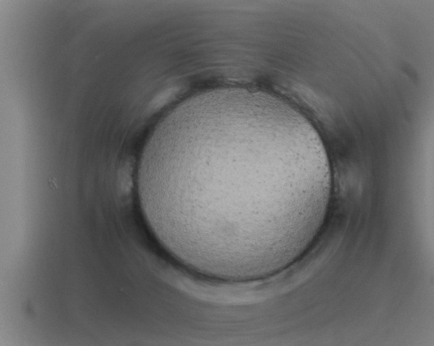 X0000116840032200912241237