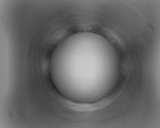 X0000116840034200912241237